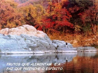 FRUTOS QUE ALIMENTAM  E A  PAZ QUE PREENCHE O ESPÍRITO. 