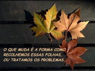 O QUE MUDA É A FORMA COMO RECOLHEMOS ESSAS FOLHAS, OU TRATAMOS OS PROBLEMAS. 
