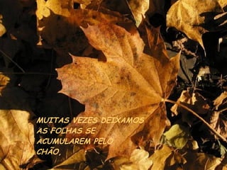 MUITAS VEZES DEIXAMOS AS FOLHAS SE  ACUMULAREM PELO  CHÃO, 