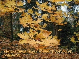 SEM DAR IMPORTÂNCIA AO MONTE QUE VAI SE FORMANDO, 
