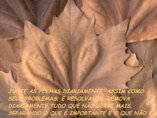 JUNTE AS FOLHAS DIARIAMENTE, ASSIM COMO SEUS PROBLEMAS, E RESOLVA-OS. REMOVA DIARIAMENTE TUDO QUE NÃO SERVE MAIS, SEPARANDO O QUE É IMPORTANTE E O QUE NÃO É. 
