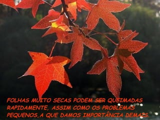 FO FOLHAS MUITO SECAS PODEM SER QUEIMADAS RAPIDAMENTE, ASSIM COMO OS PROBLEMAS PEQUENOS,A QUE DAMOS IMPORTÂNCIA DEMAIS. 
