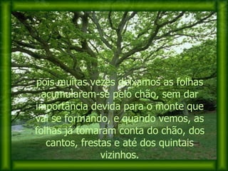 pois muitas vezes deixamos as folhas acumularem-se pelo chão, sem dar importância devida para o monte que vai se formando, e quando vemos, as folhas já tomaram conta do chão, dos cantos, frestas e até dos quintais vizinhos. 