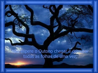 Não espere o Outono chegar e derrubar todas as folhas de uma vez, 