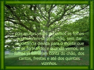 pois muitas vezes deixamos as folhas acumularem-se pelo chão, sem dar importância devida para o monte que vai se formando, e quando vemos, as folhas já tomaram conta do chão, dos cantos, frestas e até dos quintais vizinhos. 