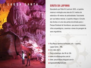 L a g o a S a n t a GRUTA DA LAPINHA
Descoberta por Peter W. Lund em 1835, a Lapinha
reserva à visitação uma área de 511 metros de
extensão e 40 metros de profundidade. Fascinante
por sua beleza natural, a Lapinha integra o Circuito
das Grutas e é uma das portas de entrada para o
Parque Estadual do Sumidouro, que possui inúmeros
sítios arqueológicos, cavernas e áreas de paragem de
aves migratórias.
Rua Nossa Senhora do Rosário, s/n – Lapinha.
Lagoa Santa – MG.
(31) 3661-8671.
Terça a domingo, das 9h às 16h
www.circuitodasgrutas.com.br
www. pesumidouro.blogspot.com.br
lagoasanta@gmail.com
 