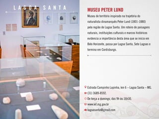 L a g o a S a n t a MUSEU PETER LUND
Museu de território inspirado na trajetória do
naturalista dinamarquês Peter Lund (1801-1880)
pela região de Lagoa Santa. Um roteiro de paisagens
naturais, instituições culturais e marcos históricos
evidencia a importância desta área que se inicia em
Belo Horizonte, passa por Lagoa Santa, Sete Lagoas e
termina em Cordisburgo.
Estrada Campinho Lapinha, km 6 – Lagoa Santa – MG.
(31) 3689-8592.
De terça a domingo, das 9h às 16h30.
www.ief.mg.gov.br
lagoasanta@gmail.com
 