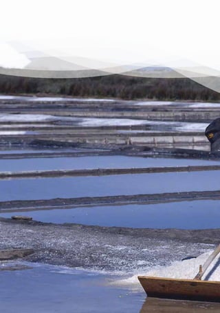 8   GRUPO DE AÇÃO COSTEIRA DA REGIÃO DE AVEIRO   REFORÇO DA COMPETITIVIDADE DAS ZONAS DE PESCA E VALORIZAÇÃO DOS SEUS E PARCERIA
                                                                                                           ESTRATÉGIA PRODUTOS
 