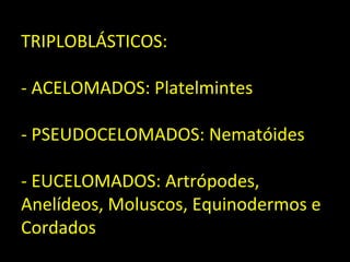 TRIPLOBLÁSTICOS:

- ACELOMADOS: Platelmintes

- PSEUDOCELOMADOS: Nematóides

- EUCELOMADOS: Artrópodes,
Anelídeos, Moluscos, Equinodermos e
Cordados
 