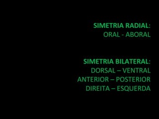 SIMETRIA RADIAL:
       ORAL - ABORAL


 SIMETRIA BILATERAL:
   DORSAL – VENTRAL
ANTERIOR – POSTERIOR
  DIREITA – ESQUERDA
 