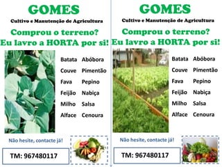 GOMES
TM: 967480117
Não hesite, contacte já!
Batata
Couve
Fava
Feijão
Milho
Alface
Cultivo e Manutenção de Agricultura
Comprou o terreno?
Eu lavro a HORTA por si!
Abóbora
Pimentão
Pepino
Nabiça
Salsa
Cenoura
GOMES
TM: 967480117
Não hesite, contacte já!
Batata
Couve
Fava
Feijão
Milho
Alface
Cultivo e Manutenção de Agricultura
Comprou o terreno?
Eu lavro a HORTA por si!
Abóbora
Pimentão
Pepino
Nabiça
Salsa
Cenoura
 