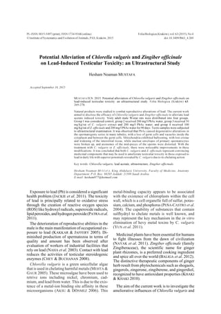 PL-ISSN 0015-5497 (print), ISSN 1734-9168 (online) Folia Biologica (Kraków), vol. 63 (2015), No 4
Ó Institute of Systematics and Evolution of Animals, PAS, Kraków, 2015 doi:10.3409/fb63_4.269
Potential Alleviation of Chlorella vulgaris and Zingiber officinale
on Lead-Induced Testicular Toxicity: an Ultrastructural Study
Hesham Noaman MUSTAFA
Accepted September 10, 2015
M756).) H.N. 2015. Potential alleviation of Chlorella vulgaris and Zingiber officinale on
lead-induced testicular toxicity: an ultrastructural study. Folia Biologica (Kraków) 63:
269-278.
Natural products were studied to combat reproductive alterations of lead. The current work
aimed to disclose the efficacy of Chlorella vulgaris and Zingiber officinale to alleviate lead
acetate induced toxicity. Sixty adult male Wistar rats were distributed into four groups.
Group 1 was considered control, group 2 received 200 mg/l PbAc water, group 3 received 50
mg/kg/rat of C. vulgaris extract and 200 mg/l PbAc water, and group 4 received 100
mg/kg/rat of Z. officinale and 200 mg/l PbAc water for 90 days. Testis samples were subjected
to ultrastructural examination. It was observed that PbAc caused degenerative alterations in
the spermatogenic series in many tubules, with a loss of germ cells and vacuoles inside the
cytoplasm and between the germ cells. Mitochondria exhibited ballooning, with lost cristae
and widening of the interstitial tissue, while nuclear envelopes of primary spermatocytes
were broken up, and axonemes of the mid-pieces of the sperms were distorted. With the
treatment with C. vulgaris or Z. officinale, there were noticeable improvements in these
modifications. It was concluded that both C. vulgaris and Z. officinale represent convincing
medicinal components that may be used to ameliorate testicular toxicity in those exposed to
lead in daily life with superior potentials revealed by C. vulgaris due to its chelating action.
Key words: Chlorella vulgaris, lead acetate, ultrastructure, Zingiber officinale.
Hesham Noaman M756).), King Abdulaziz University, Faculty of Medicine, Anatomy
Department. P.O. Box: 80205 Jeddah: 21589 Saudi Arabia.
E-mail: hesham977@hotmail.com
Exposure to lead (Pb) is considered a significant
health problem (JACKIE et al. 2011). The toxicity
of lead is principally related to oxidative stress
through the creation of reactive oxygen species
(ROS) like hydroxyl radicals, superoxide radicals,
lipidperoxides,andhydrogenperoxide(PATRA etal.
2011).
The deterioration of reproductive abilities in the
male is the main manifestation of occupational ex-
posure to lead (KAKKAR & JAFFERY 2005). Di-
minished production of spermatozoa in terms of
quality and amount has been observed after
evaluation of workers of industrial facilities that
rely on lead (NAHA et al. 2003). Contact with lead
reduces the activities of testicular steroidogenic
enzymes (CHEY & BUCHANAN 2008).
Chlorella vulgaris is a green unicellular algae
that is used in chelating harmful metals (MEHTA &
GAUR 2005). These microalgae have been used to
retrive ions including nickel, chromium, cad-
mium, and lead from water. This is due to the exis-
tence of a metal-ion binding site affinity in these
microorganisms (AKSU & D_NMEZ 2006). This
metal-binding capacity appears to be associated
with the existence of chloroplasts within the cell
wall, which is a cell organelle full of sulfur, potas-
sium, calcium, and phosphorus (PEYA-CASTRO et al.
2004). The capability of substances that contain
sulfhydryl to chelate metals is well known, and
may represent the key mechanism in the in vitro
elimination of hevy metal toxins by C. vulgaris
(YUN et al. 2011).
Medicinal plants have been essential for humans
to fight illnesses from the dawn of civilization
(NAYAK et al. 2011). Zingiber officinale (family
Zingiberaceae), the scientific name for ginger
plant rhizomes, is a preferred cooking ingredient
and spice all over the world (BALIGA et al. 2012).
The distinctive therapeutic components of ginger
herb result from phytochemicals such as shogaols,
gingerols, zingerone, zingiberene, and gingerdiol,
recognized to have antioxidant properties (KHAKI
& KHAKI 2010).
The aim of the current work is to investigate the
ameliorative influences of Chlorella vulgaris and
 