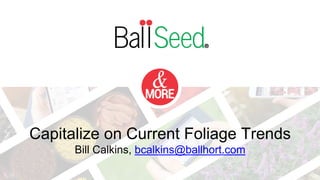 Capitalize on Current Foliage Trends
Bill Calkins, bcalkins@ballhort.com
 