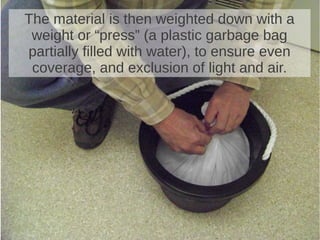 The material is then weighted down with a
weight or “press” (a plastic garbage bag
partially filled with water), to ensure even
coverage, and exclusion of light and air.
