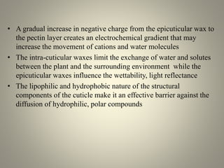 • A gradual increase in negative charge from the epicuticular wax to
the pectin layer creates an electrochemical gradient that may
increase the movement of cations and water molecules
• The intra-cuticular waxes limit the exchange of water and solutes
between the plant and the surrounding environment while the
epicuticular waxes influence the wettability, light reflectance
• The lipophilic and hydrophobic nature of the structural
components of the cuticle make it an effective barrier against the
diffusion of hydrophilic, polar compounds
 