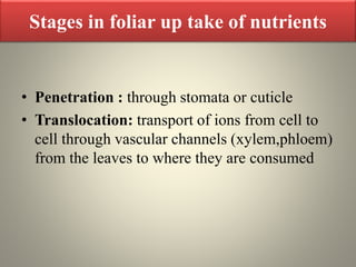 Stages in foliar up take of nutrients
• Penetration : through stomata or cuticle
• Translocation: transport of ions from cell to
cell through vascular channels (xylem,phloem)
from the leaves to where they are consumed
 