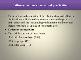 Pathways and mechanisms of penetration
• The structure and chemistry of the plant surface will affect the
bi-directional diffusion of substances between the plant, the
leaf surface and the surrounding environment and hence and
therefore the rate of uptake of foliar fertilizers
• Cuticular permeability
• The cuticle consists of three layers
Epicuticular wax layer (EW),
Cuticle proper (CP)
Cuticular layer (CL)
 