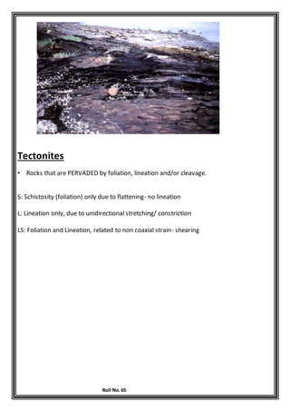 Roll No.65
Tectonites
• Rocks that are PERVADED by foliation, lineation and/or cleavage.
S: Schistosity (foliation) only due to flattening- no lineation
L: Lineation only, due to unidirectional stretching/ constriction
LS: Foliation and Lineation, related to non coaxial strain- shearing
 