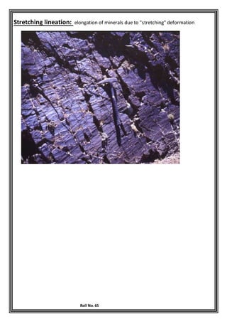 Roll No.65
Stretching lineation: elongation of minerals due to "stretching" deformation
 