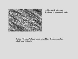 Foliations | PPT