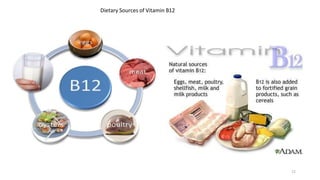 Dietary Sources of Vitamin B12
12
 