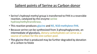 14
• Serine’s hydroxyl-methyl group is transferred to FH4 in a reversible
reaction, catalyzed by the enzyme serine
hydroxymethyltransferase.
• This reaction produces glycine and N5, N10-methylene-FH4.
• Because serine can be synthesized from 3-phosphoglycerate, an
intermediate of glycolysis, dietary carbohydrate can serve as a
source of carbon for the one-carbon pool.
• The glycine that is produced may be further degraded by donation
of a carbon to folate
Salient points of Serine as Carbon donor
 