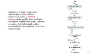 A deficiency of folate results in the
accumulation of FIGLU, which is
excreted in the urine. A histidine
load test can be used for detecting folate
deficiencies. Patients were given a test dose
of histidine (a histidine load), and the
amount of FIGLU that appeared in the urine
was measured.
16
 