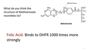 What do you think the
structure of Methotrexate
resembles to?
Folic Acid. Binds to DHFR 1000 times more
strongly
Methyl Group
19
 