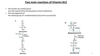 Two main reactions of Vitamin B12
• The transfer of a methyl group
from N5-methyl FH4 to homocysteine to form methionine.
• The rearrangement of
the methyl group of L-methylmalonyl CoA to form succinyl CoA
20
 