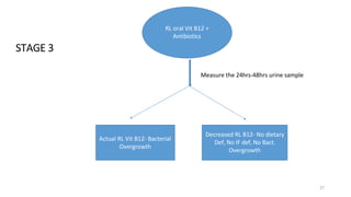 RL oral Vit B12 +
Antibiotics
Actual RL Vit B12- Bacterial
Overgrowth
27
Decreased RL B12- No dietary
Def, No IF def, No Bact.
Overgrowth
STAGE 3
Measure the 24hrs-48hrs urine sample
 