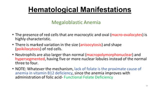 34
Hematological Manifestations
Megaloblastic Anemia
• The presence of red cells that are macrocytic and oval (macro-ovalocytes) is
highly characteristic.
• There is marked variation in the size (anisocytosis) and shape
(poikilocytosis) of red cells.
• Neutrophils are also larger than normal (macropolymorphonuclear) and
hypersegmented, having five or more nuclear lobules instead of the normal
three to four.
• NOTE: Whatever the mechanism, lack of folate is the proximate cause of
anemia in vitamin B12 deficiency, since the anemia improves with
administration of folic acid- Functional Folate Deficiency
 