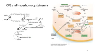 CVS and Hyperhomocysteinemia
38
 