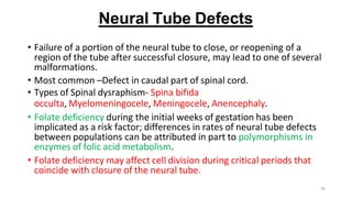 39
Neural Tube Defects
• Failure of a portion of the neural tube to close, or reopening of a
region of the tube after successful closure, may lead to one of several
malformations.
• Most common –Defect in caudal part of spinal cord.
• Types of Spinal dysraphism- Spina bifida
occulta, Myelomeningocele, Meningocele, Anencephaly.
• Folate deficiency during the initial weeks of gestation has been
implicated as a risk factor; differences in rates of neural tube defects
between populations can be attributed in part to polymorphisms in
enzymes of folic acid metabolism.
• Folate deficiency may affect cell division during critical periods that
coincide with closure of the neural tube.
 