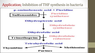 folicacid and cobalamine metabolism.pptx