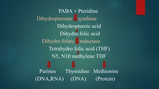 PABA + Pteridine
Dihydropteroate synthase
Dihydropteroic acid
Dihydro folic acid
Dihydro folate reductase
Tetrahydro folic acid (THF)
N5, N10 methylene THF
Purines Thymidine Methionine
(DNA,RNA) (DNA) (Protein)
 