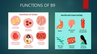 FUNCTIONS OF B9
 