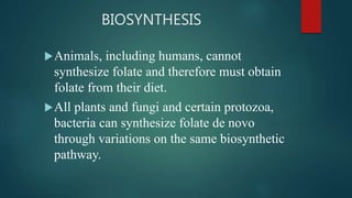 BIOSYNTHESIS
Animals, including humans, cannot
synthesize folate and therefore must obtain
folate from their diet.
All plants and fungi and certain protozoa,
bacteria can synthesize folate de novo
through variations on the same biosynthetic
pathway.
 