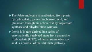 The folate molecule is synthesized from pterin
pyrophosphate, para-aminobenzoic acid, and
glutamate through the action of dihydropteroate
synthase and dihydrofolate synthase.
Pterin is in turn derived in a series of
enzymatically catalyzed steps from guanosine
triphosphate (GTP), while para-aminobenzoic
acid is a product of the shikimate pathway.
 