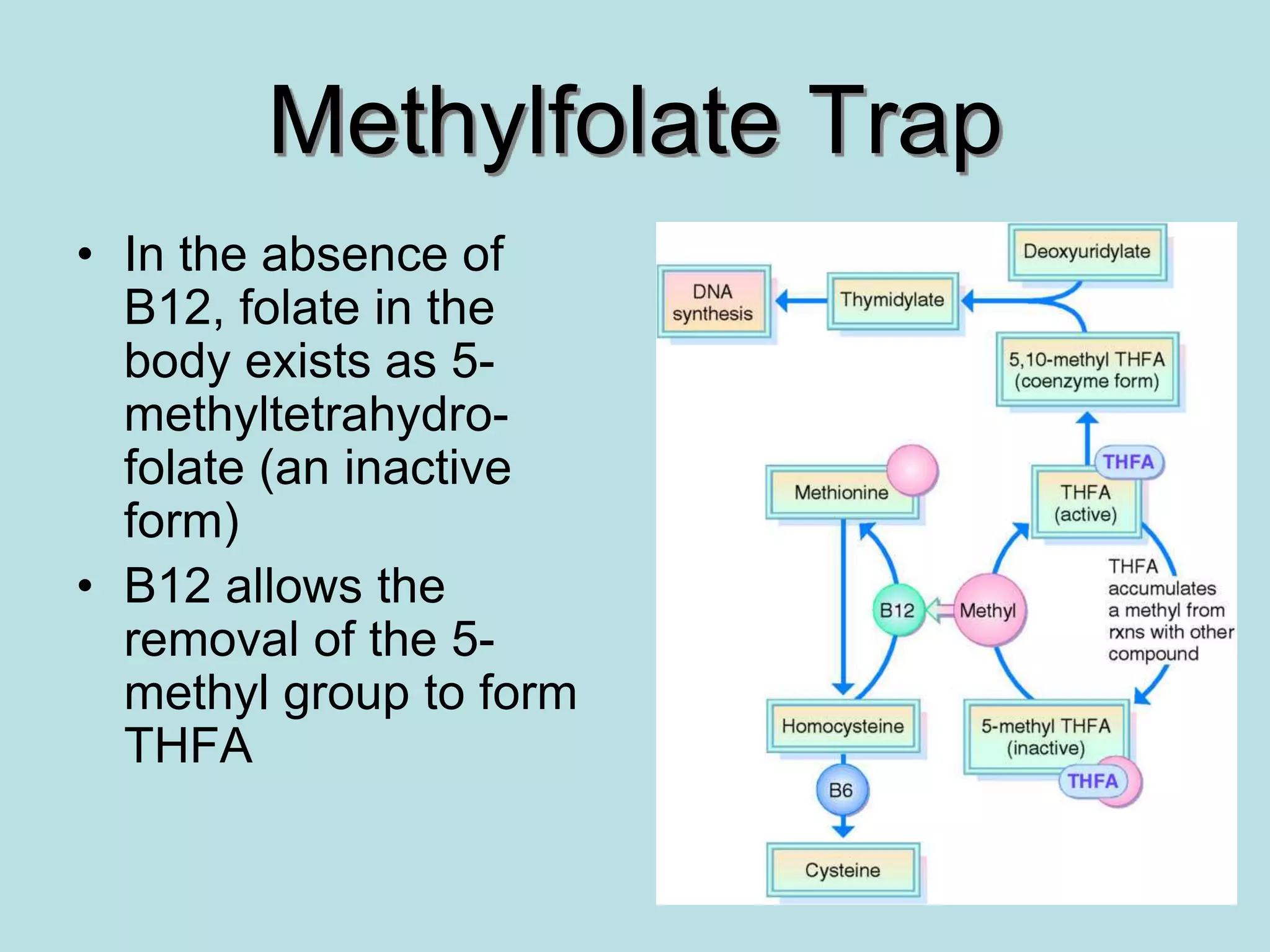 Folic_acid_B12_deficiency_Anemia_LIN_OSW.ppt