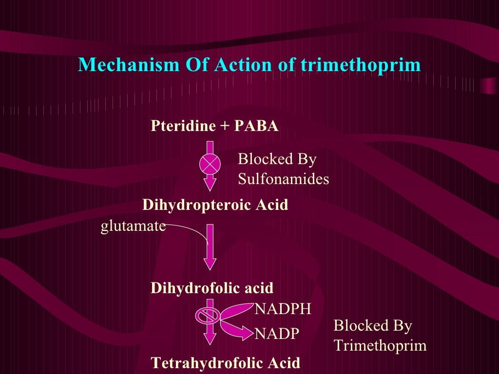 Folic Acid Synthesis Inhibitors