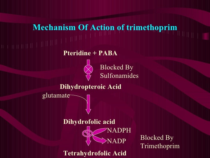 Folic Acid Synthesis Inhibitors