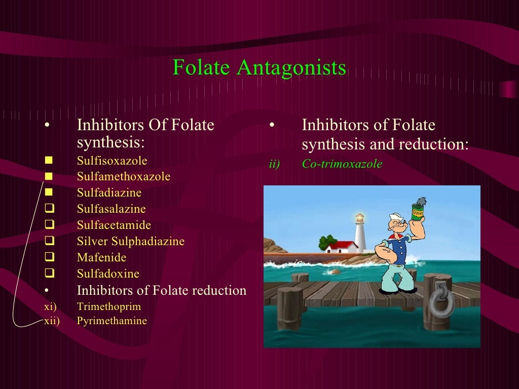 Folic Acid Synthesis Inhibitors