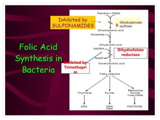 Folic acid synthesis inhibitors | PPTX