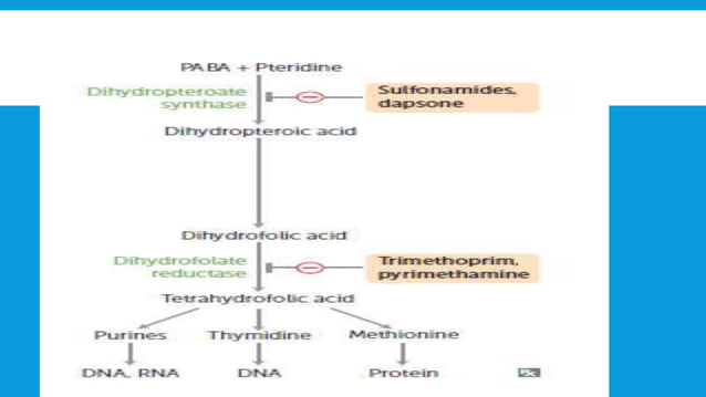 Folic acid synthesis & reductase inhibitors | PPTX