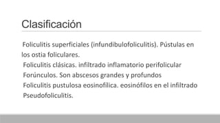Clasificación
Foliculitis superficiales (infundibulofoliculitis). Pústulas en
los ostia foliculares.
Foliculitis clásicas. infiltrado inflamatorio perifolicular
Forúnculos. Son abscesos grandes y profundos
Foliculitis pustulosa eosinofílica. eosinófilos en el infiltrado
Pseudofoliculitis.