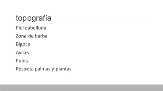 topografía
Piel cabelluda
Zona de barba
Bigote
Axilas
Pubis
Respeta palmas y plantas