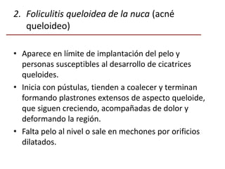 2. Foliculitis queloidea de la nuca (acné
queloideo)
• Aparece en límite de implantación del pelo y
personas susceptibles al desarrollo de cicatrices
queloides.
• Inicia con pústulas, tienden a coalecer y terminan
formando plastrones extensos de aspecto queloide,
que siguen creciendo, acompañadas de dolor y
deformando la región.
• Falta pelo al nivel o sale en mechones por orificios
dilatados.