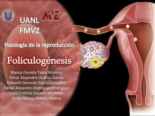 Blanca Daniela Tapia Moreno
Omar Alejandro Ocañas García
Debanhi Gerardo García González
Daniel Alejandro Rodríguez Rodríguez
Carla Esthela Canales Martínez
Azael Alonso Huerta Molina