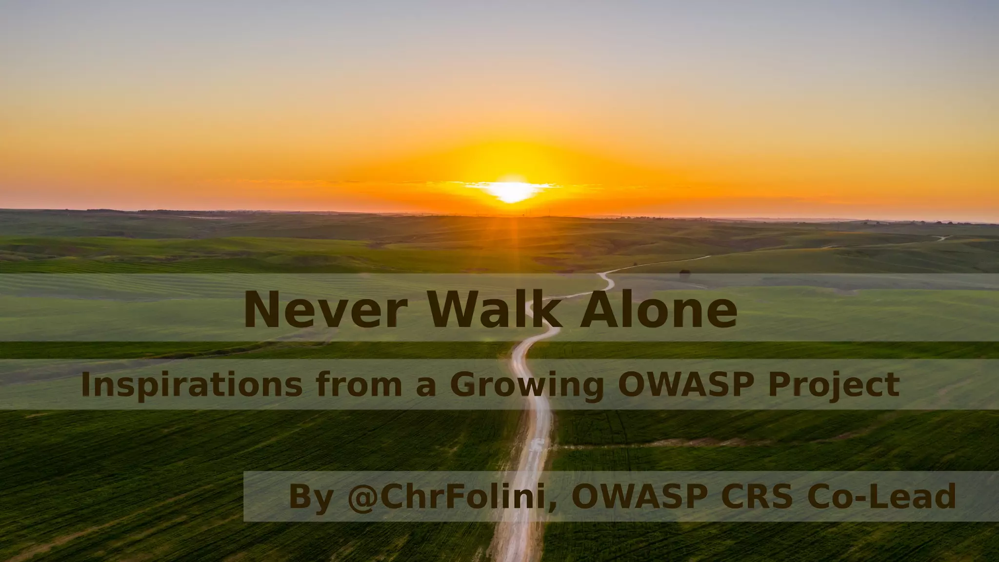 never-walk-alone-inspirations-from-a-growing-owasp-project-ppt