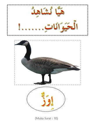 Folio bahasa arab tahun 5